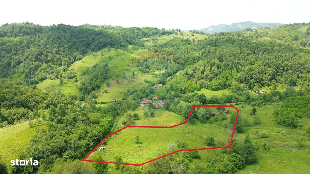 Teren intravilan de vis în Munții Apuseni, curent + izvor – 13.811 mp