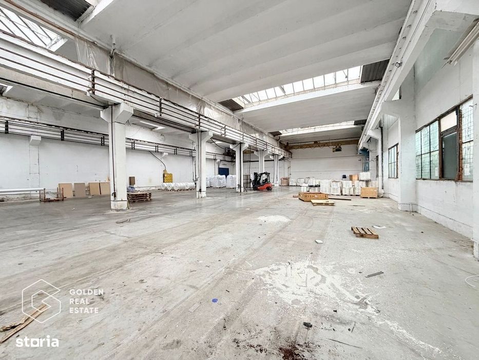 Hala industriala cu pod rulant, Sanicolau Mic, suprafata 1.187 mp