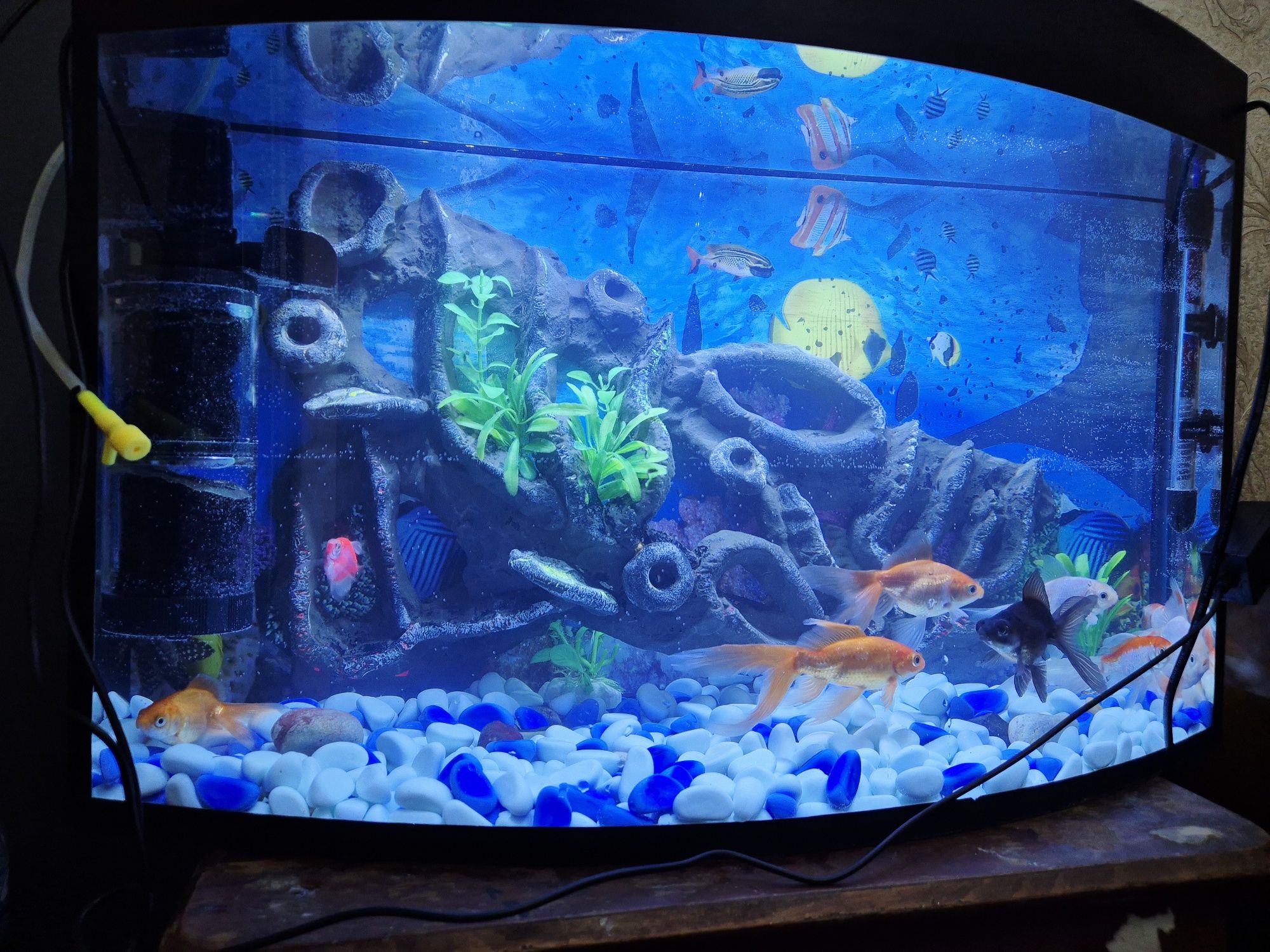 Akvarium 45 litr.