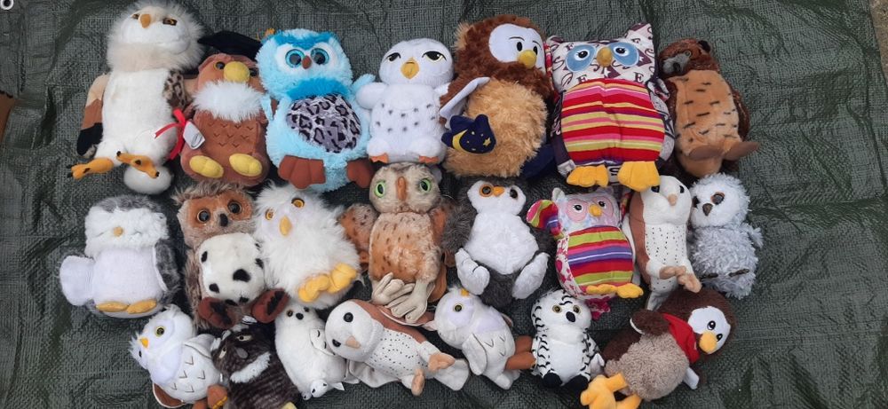 Plusuri : albine,bufnite ,berzi, flamingo, vulturi,rate