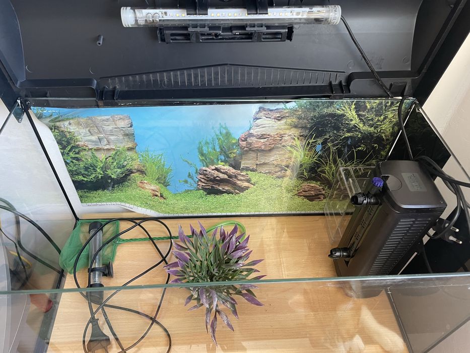 Acvariu mare cu accesorii