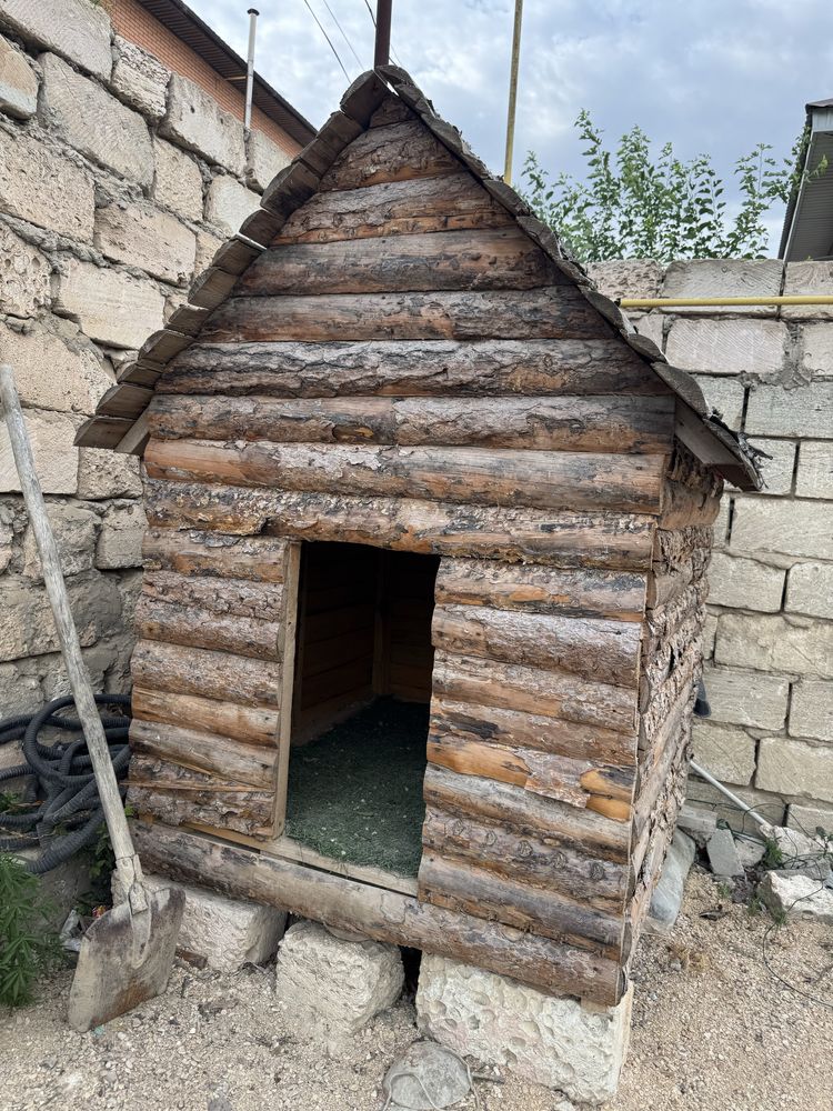 Собачи домик, Ит үйшігі