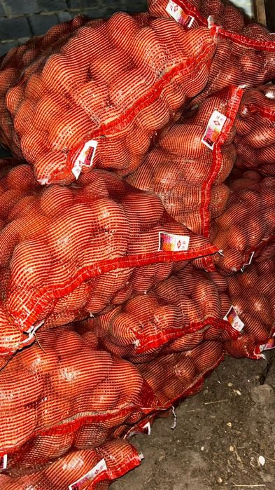 Прдам картошку едовую