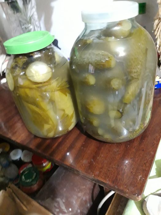 Огурцы  солёные.
