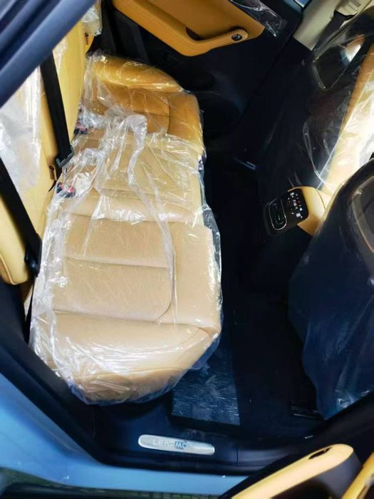 Lepmitors c 11 gibrit