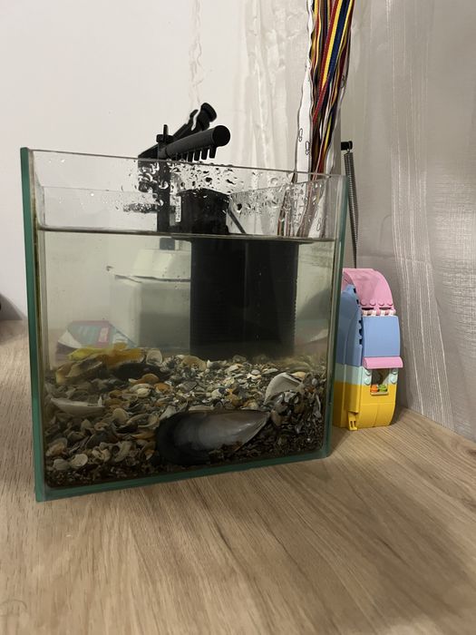 Acvariu si pompa