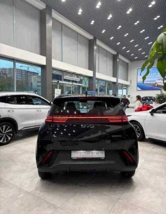 Byd Seagull naxt va halol nasiyaga