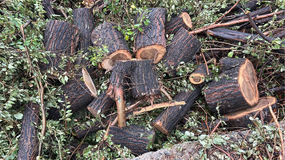 Дрова/ чурки  для топки, бани, жарить шашлык