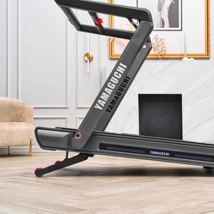 Беговая дорожка
Yamaguchi MAX PRO-S