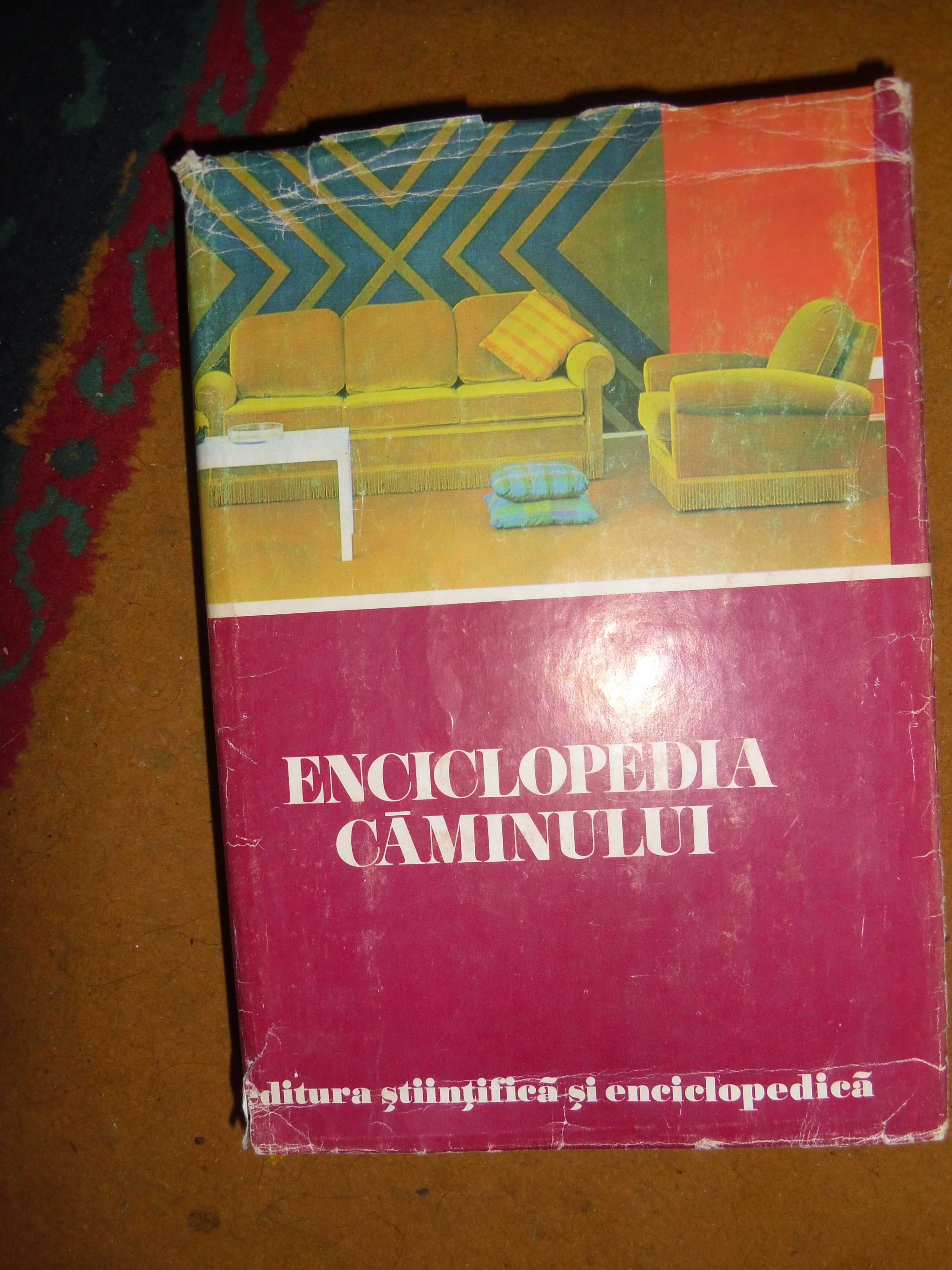 Enciclopedia caminului ,carte