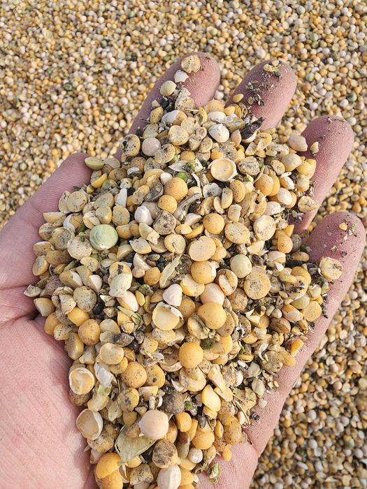 Гороховые отходы, гороховая сечка, гороховая мучка