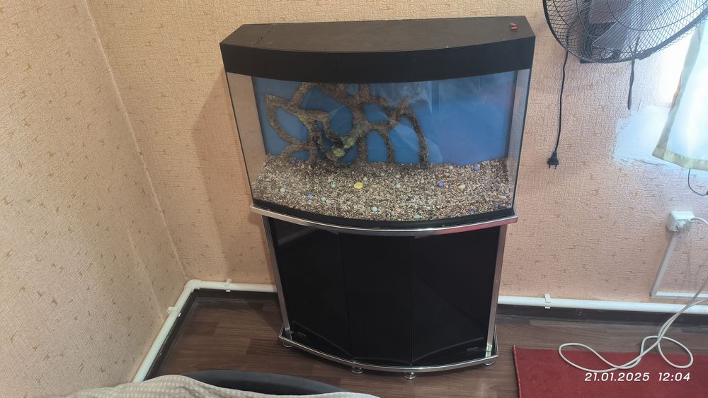 Аквариум отличный. Полный комплект с тумбой.