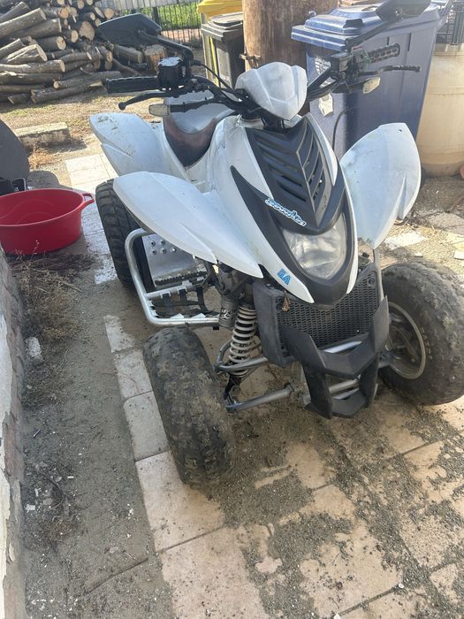 Atv Quad Dinli 300 din 2004 defect pentru piese sau reparat