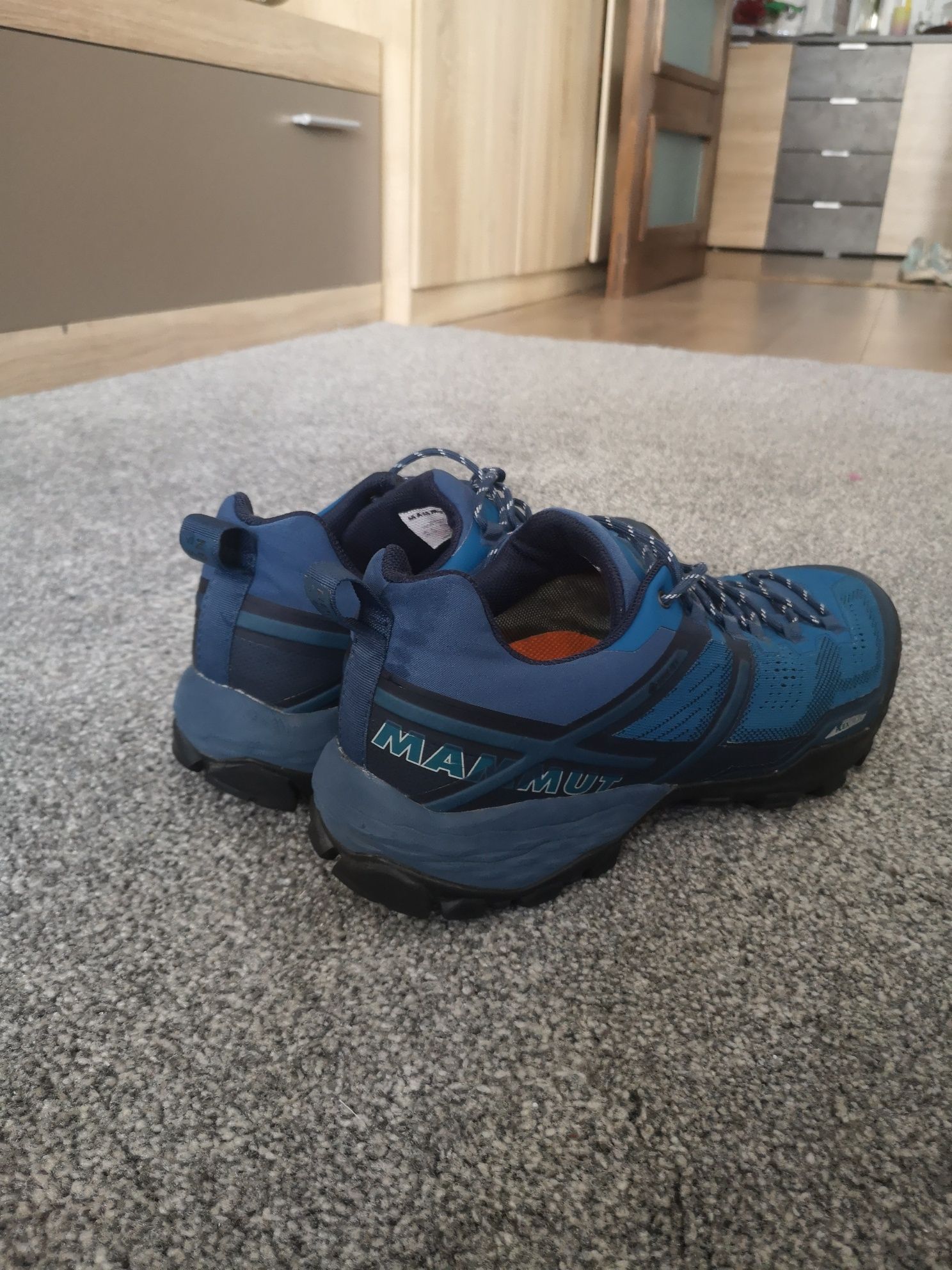 Mammut Ducan low gtx 43