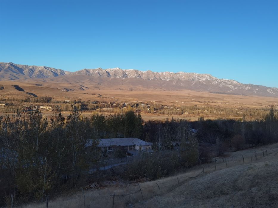 Huawei pura 70 12/256