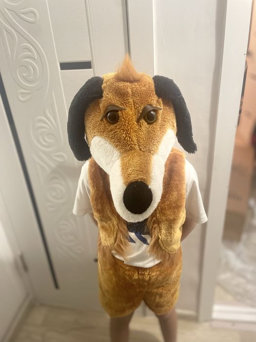 Собачка одежда/костюм