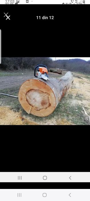 Lemne de foc esență tare