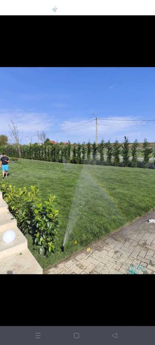 Gazon rezistent și ușor de întreținut – Livrare în toată țara