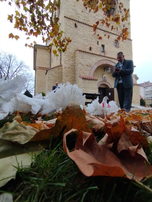 Porumbei albi și stâlpi florali în Iași