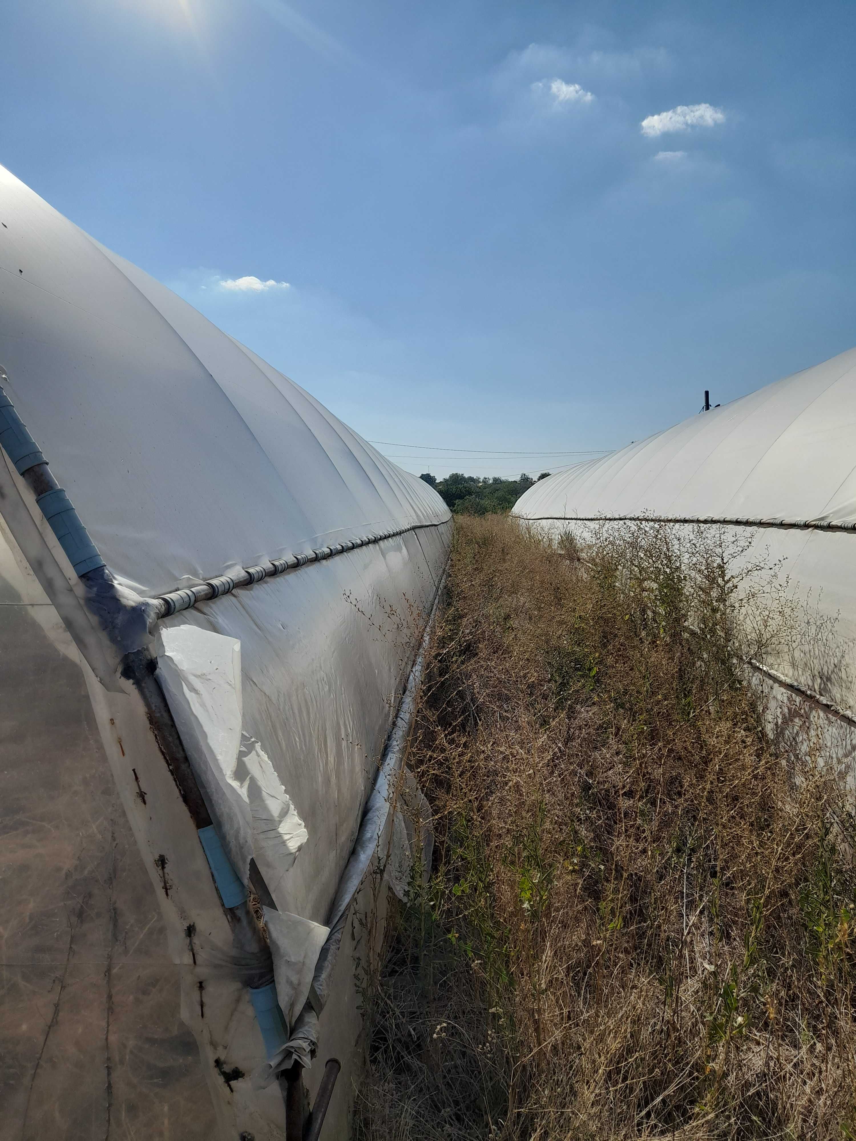 Vand solarii pentru legume sau flori