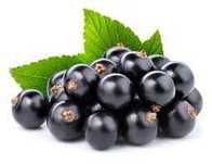 Vând  zmeură, coacaze negre si rozinci BIO de la Munte