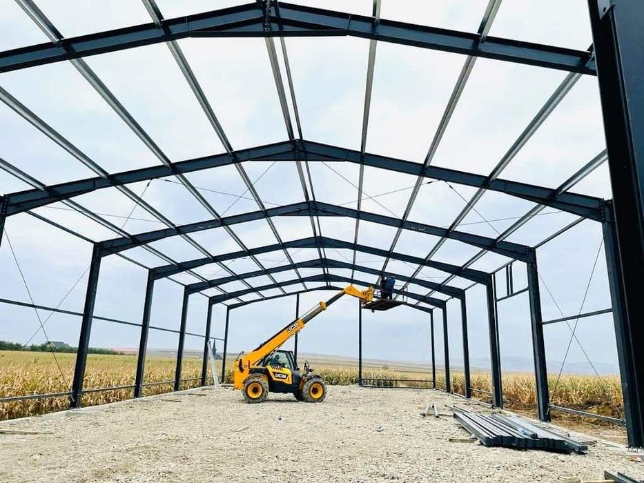 Vand structura metalica 12x20x4H
