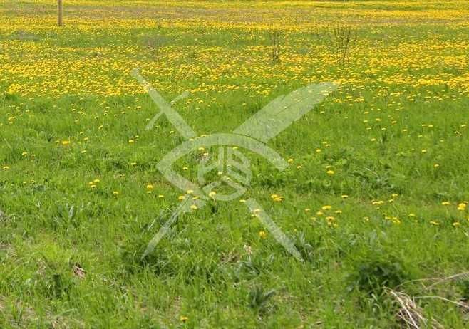 Парцел в Асеновград!88686