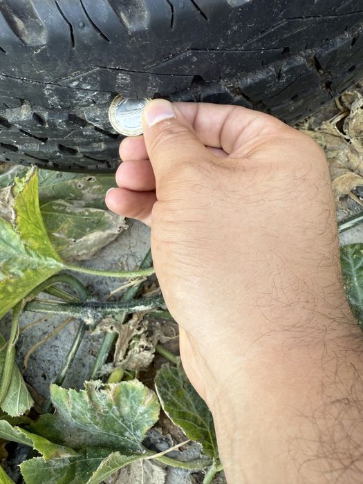 Сезонни Гуми DURAVIS 215/70R15C