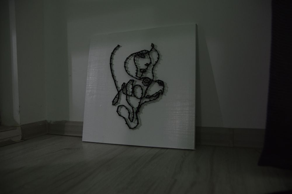 Tablou stringart