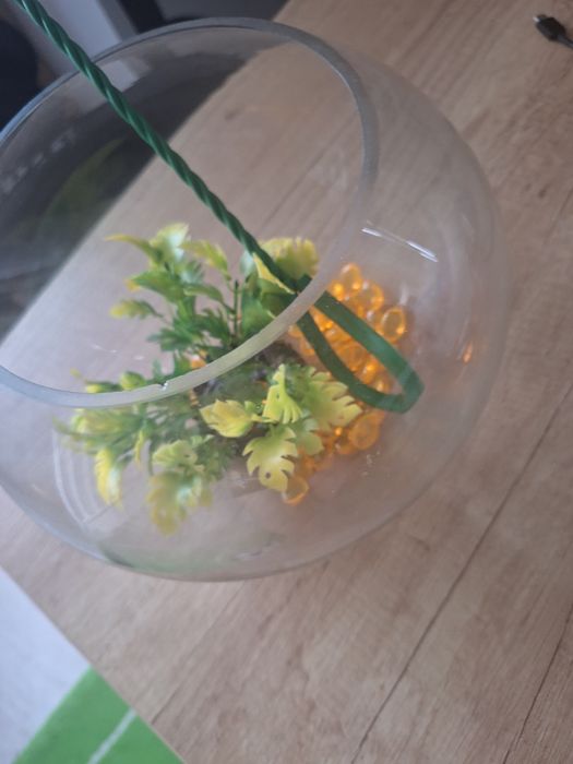 Accesorii pentru pesti(bol de sticla,plasa ,planta decorativa,margele]