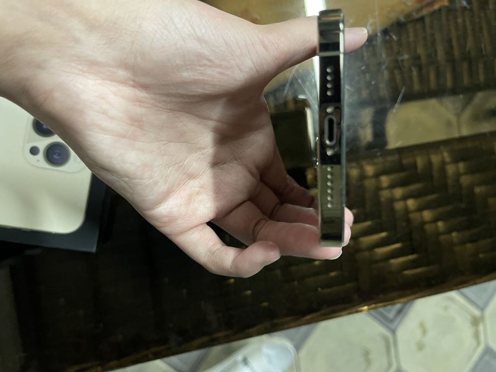 iPhone 13 pro max