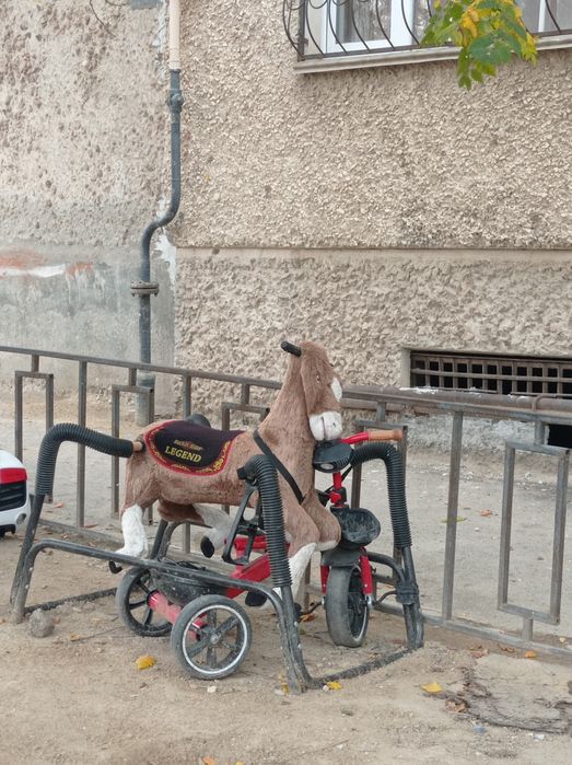 Лошадь бесплатно