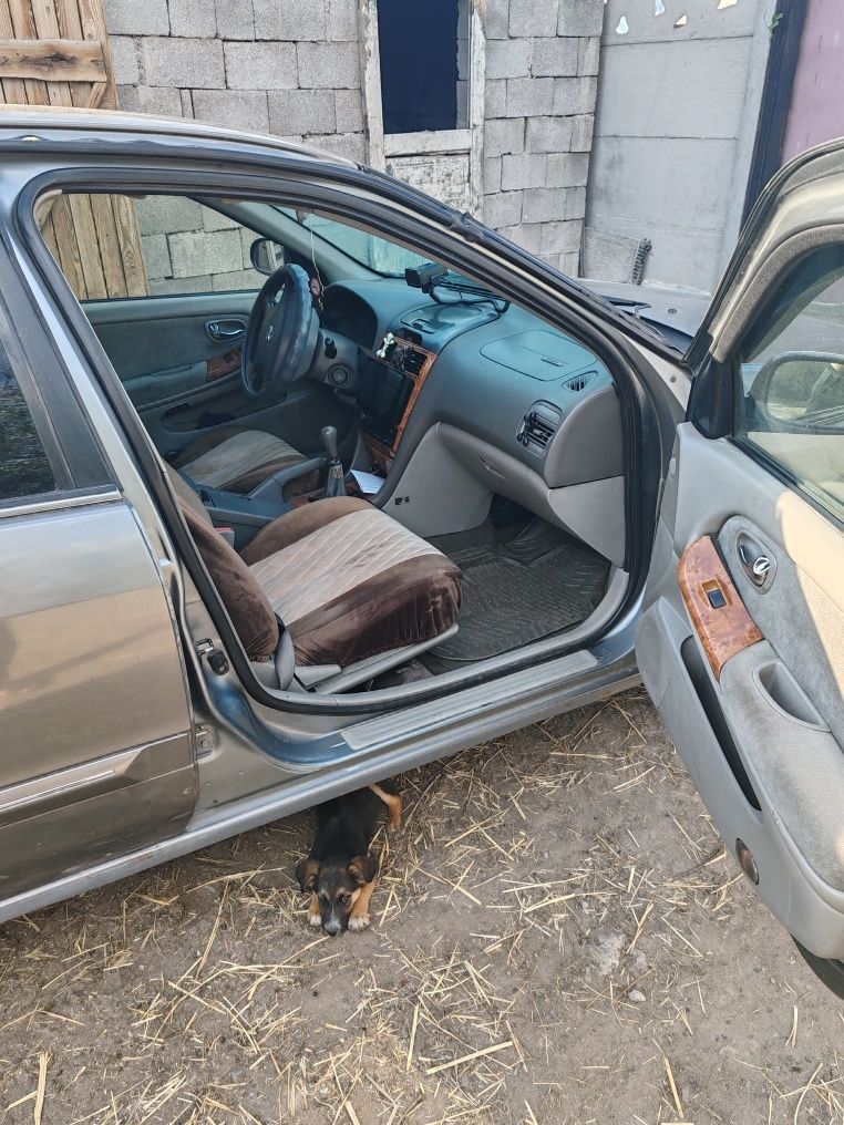 Продам или дам в рассрочку