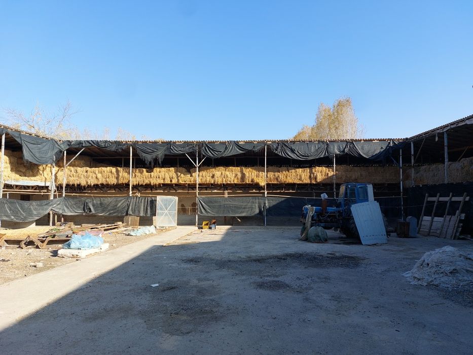 Tayor ferma sotiladi !