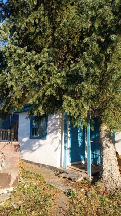 Продам Дачу в Белоусовке