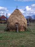 Fân de grădină de vânzare