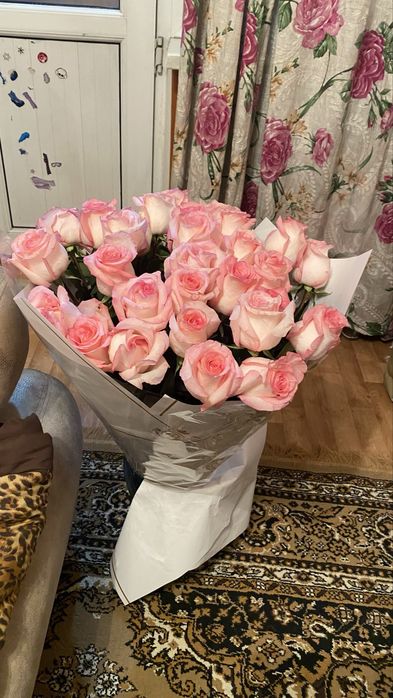 Галански роза,Ұзын жаңа келдыыы