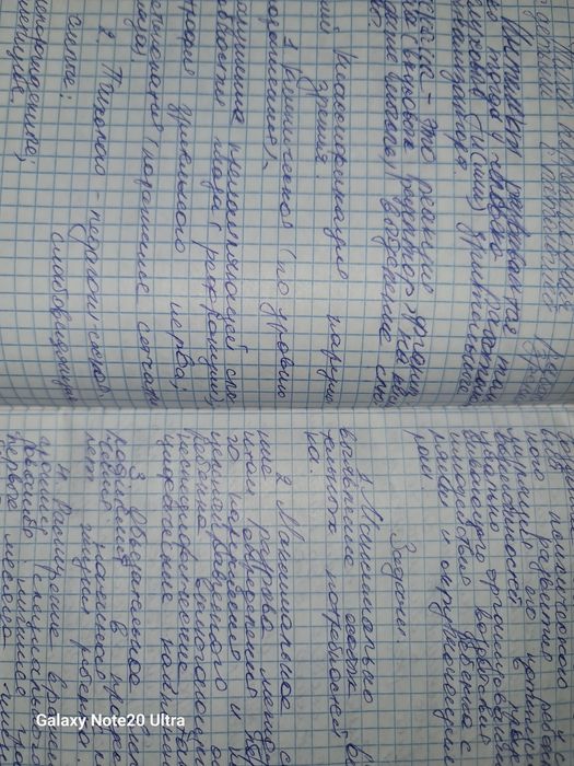 Пишу аккуратные конспекты по всем предметам любой почерк, риунки