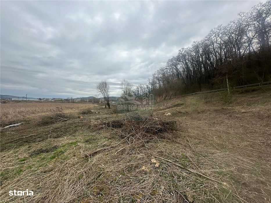 Teren intravilan si extravilan 2025 mp  Medias zona Kaufland