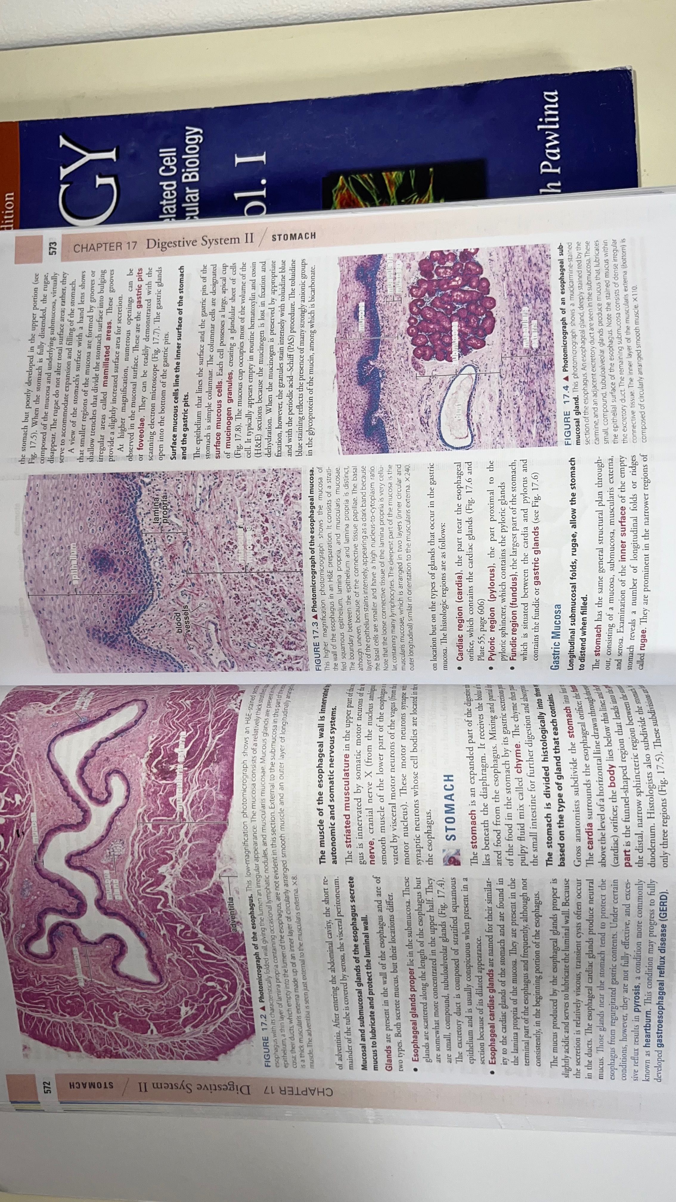 Atlas Ross Histology ediția 7