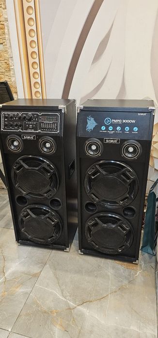 Vând boxe profesionale de 3000w 750 roni