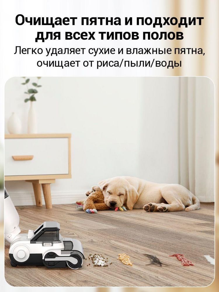 Вертикальный моющий пылесос