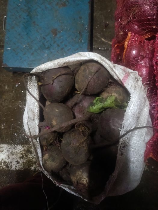 Ridichi negre calitate extra