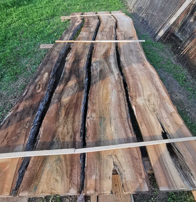 Vând scândură groasă de nuc, diferite dimensiuni