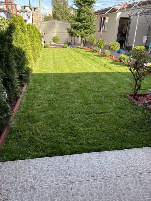 Amenajari spati verzi , gazoane si Mentenanta Gradini !!!