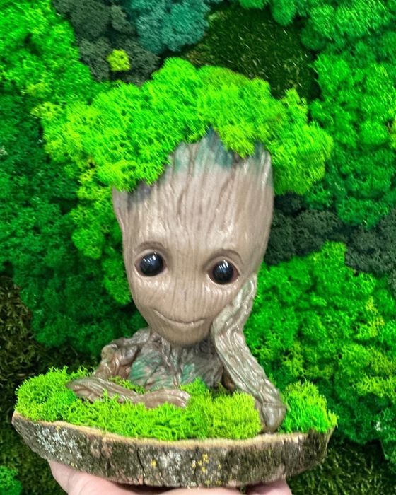 Decoratiuni cu licheni