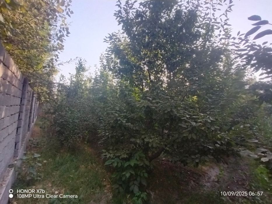 YANGI BOZOR(Yangi Toshkent) HOVLI  8 sotix ,