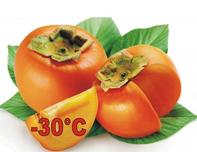 Pomi Fructiferi EXOTICI la Ghiveci  (KAKI )