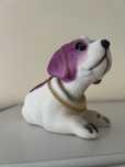 Catel de plus cu lant