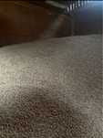 Grau 2025 1leu/kg